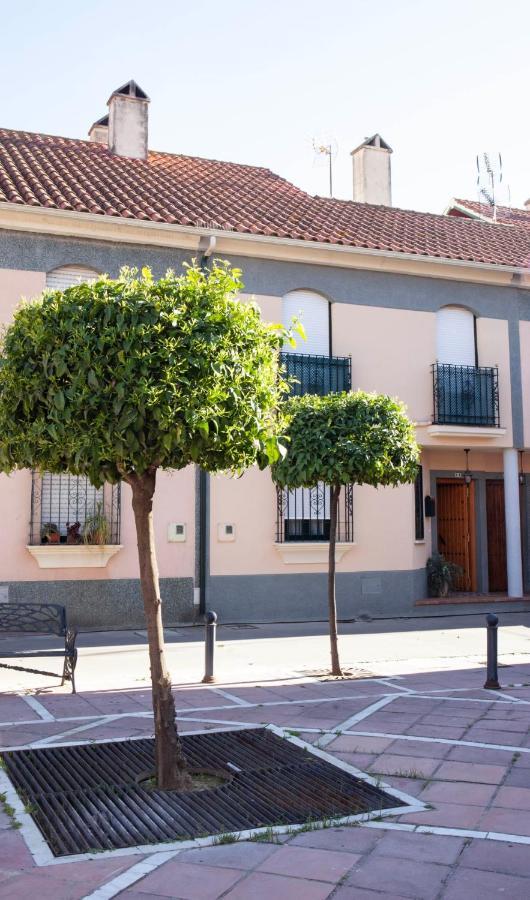 Casa Rural La Palmera Almodóvar del Río 外观 照片