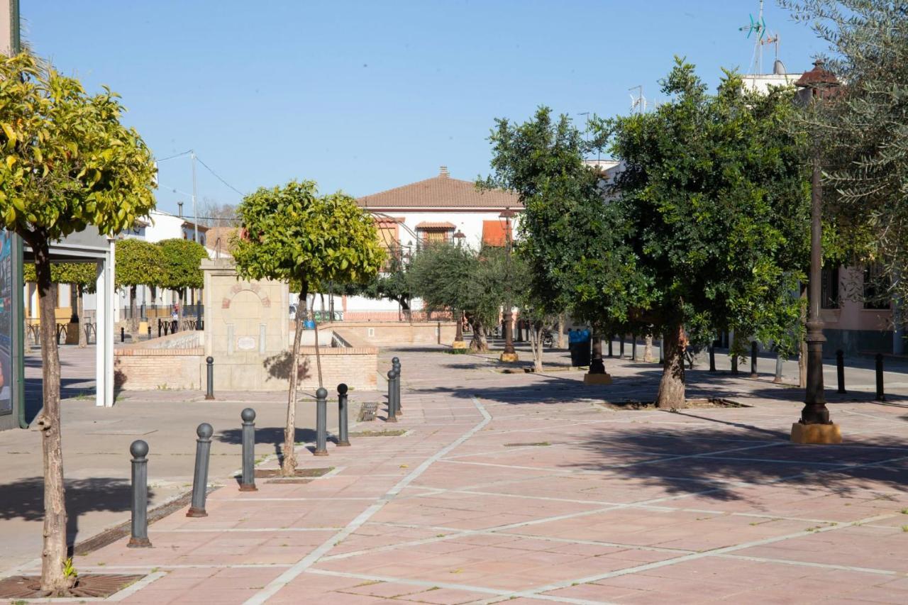 Casa Rural La Palmera Almodóvar del Río 外观 照片